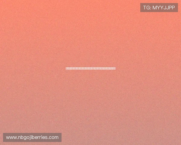 星空游戏平台下载助力用户畅享世界杯体育盛事全方位报道与精彩赛事直播