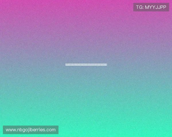 瑞士队与加拿大队传球成功率对比及其在世界杯中的关键作用分析