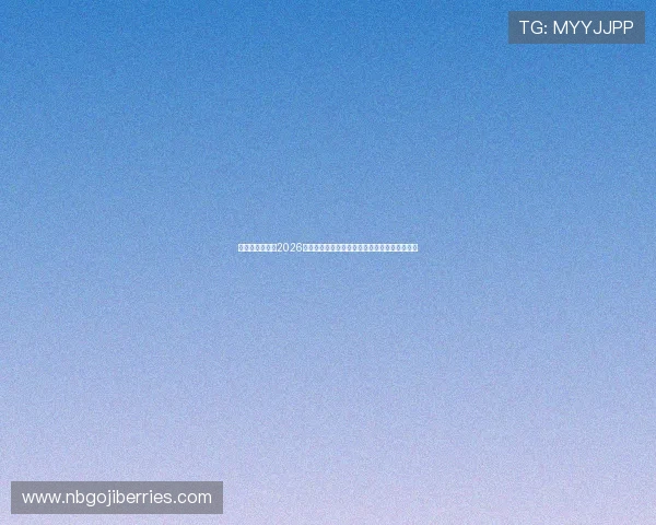 球盟会体育聚焦2026世界杯明星球员表现与未来足球之星的崛起路径
